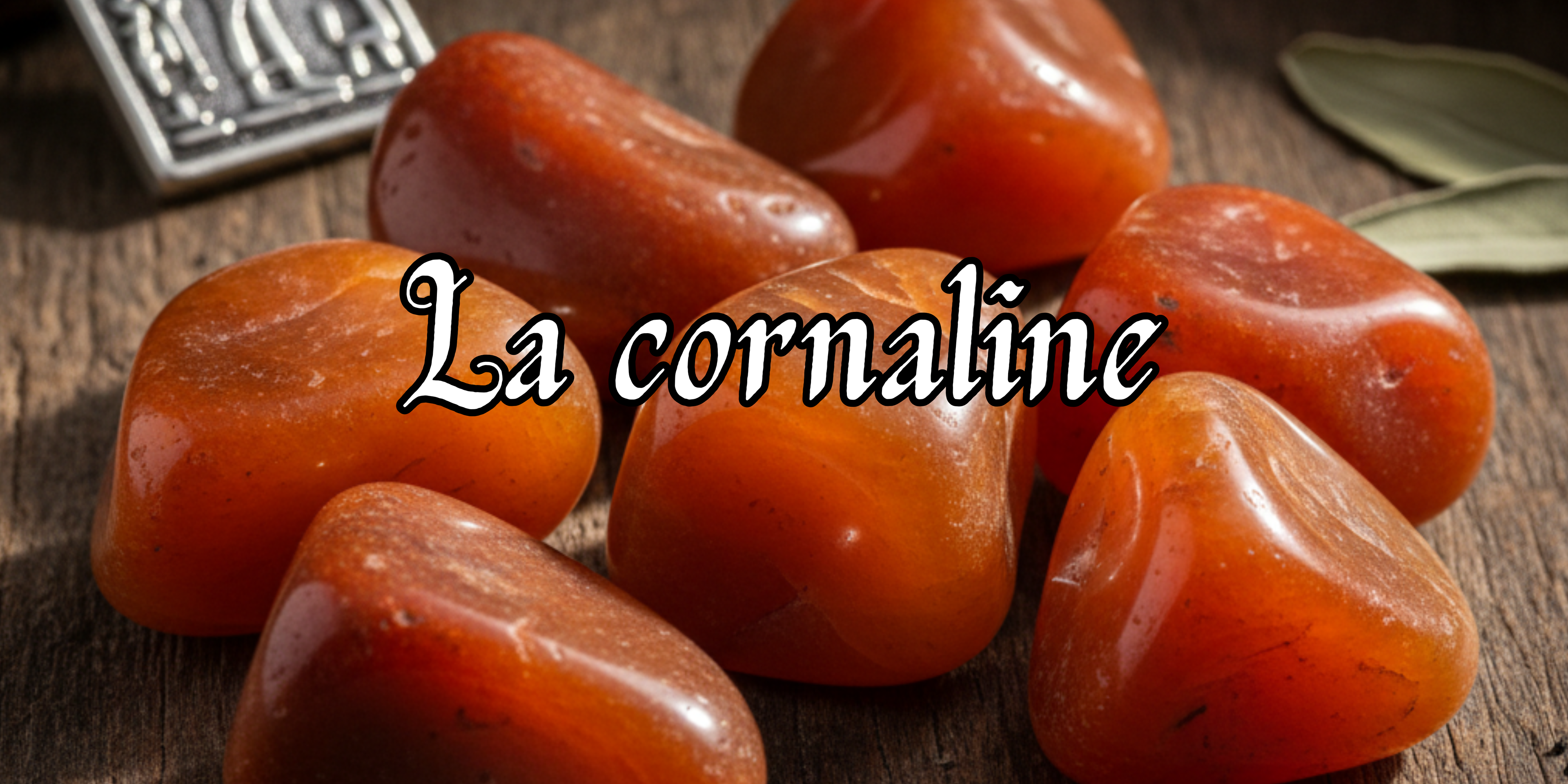 La Cornaline : Flamme de Vie et Courage Ancien